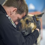 A.C.O. Jeff Randazzo, Chief Animal Control Officer at MCAC, gives Bella the German Shephard confiscated at Lenox Twp. home cruelty raid, a big hug. (Ray Skowronek/The Macomb Daily)