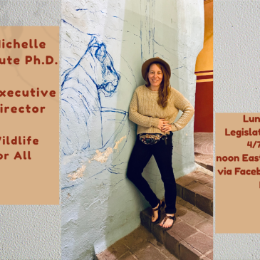 Lunch + Legislation with Michelle Lute, Wildlife for All