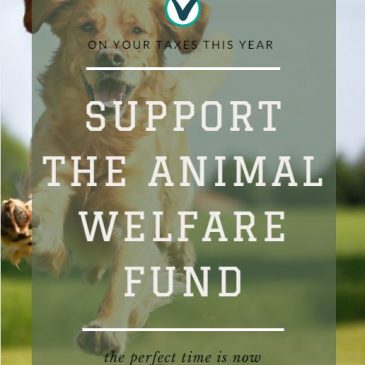 MDARD Announces 2019 Animal Welfare Fund Grants