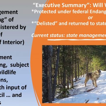Lunch + Legislation #10: What’s Up with … Wolves