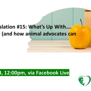 Lunch + Legislation #15: What’s Up With … Redistricting (and how animal advocates can use it)