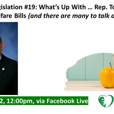 Lunch + Legislation #19: What’s Up With … Rep. Tommy Brann’s Animal Welfare Bills (and there are many to talk about!)  