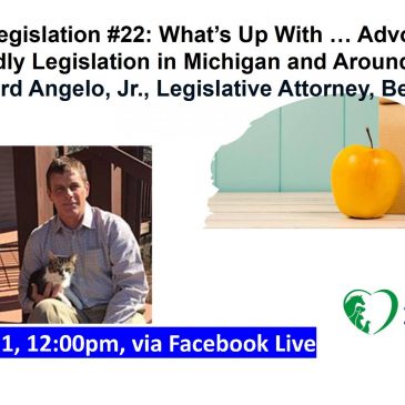 Lunch + Legislation with Richard Angelo, Jr., Best Friends Legislative Attorney