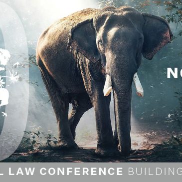 Drum Roll: Announcing our Animal Law Conference Scholarship Recipients