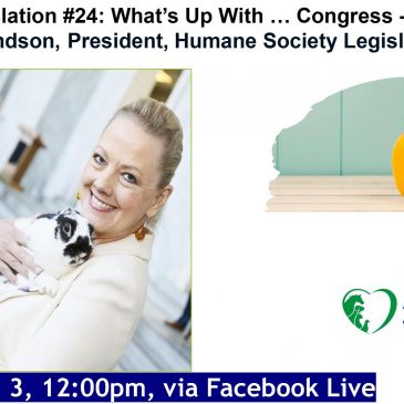Lunch + Legislation: Sara Amundson, HSLF, on the PAW Act … and About How Congress Works