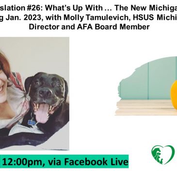 Lunch + Legislation with Molly Tamulevich: What Can Animal Advocates Expect from the New Michigan Legislature?