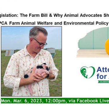 Lunch + Legislation with Adam Mason, ASPCA Senior Manager of Farm Animal Welfare and Environmental Policy