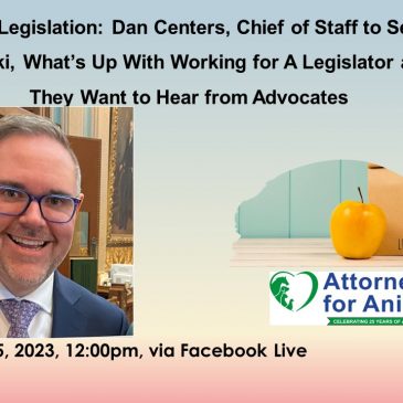 Lunch + Legislation with Dan Centers, Chief of Staff to Michigan Senator Dayna Polehanki