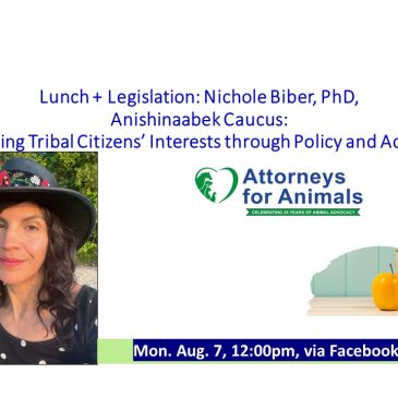 Lunch + Legislation with Nichole Keway Biber, LTBB of Odawa: Activist, Educator, Storyteller