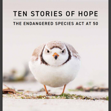 Endangered Species Act: Happy 50th Birthday at a Pivotal Moment