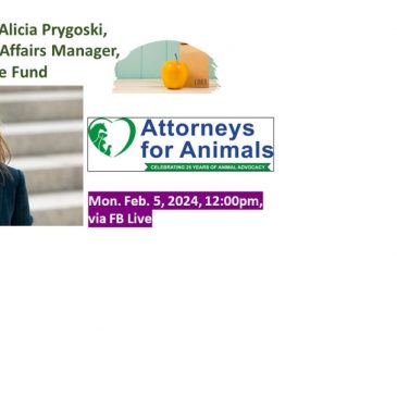 Lunch + Legislation: Alicia Prygoski on Strategic Legislation (Part I)