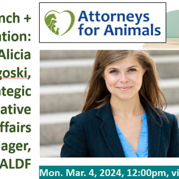 Alicia Prygoski: Strategic Legislation (Part II): How You Can Be a More Effective Animal Advocate