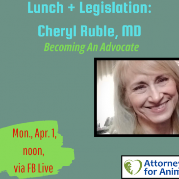 Lunch + Legislation: Cheryl Ruble, MD: Becoming an Advocate and Challenging CAFOs